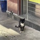 221001 : 걱정따윈 내일로