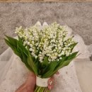 [본식] 노블발렌티 대치(스냅 - 퍼스트모션, 영상 - 웨딩미 등).