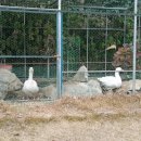 근흥농장 이미지