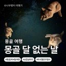달사막 | 몽골 여행 일정 추천｜미니고비 사막 게르 숙박 후기·샤워실·삼겹살 파티·달없는 밤 정보까지!