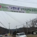 들뫼향 이미지