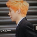 강남관광정보센터 이미지