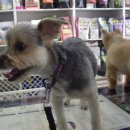 서래동물병원 이미지