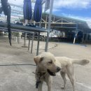 행현2리 공중화장실 | 강원도 고성 7월 동해 펀다이빙 수온은? LF문암다이브리조트에서 스쿠버다이빙 즐기기