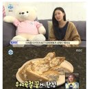 두부먹고곱창먹고
