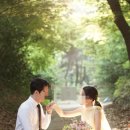 헤어가든엘리자베스 이미지