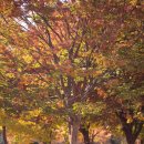 충만농장 이미지