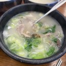 내고향추어탕송호돼지국밥 | 이게 진짜 밀양 국밥 맛집! 예림돼지국밥, 깔끔한 국물에 반하다