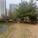 현촌5길 이미지