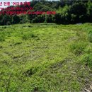 금동 태양광발전소 이미지