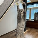 시루민박 이미지