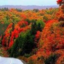 진주(부산) 이미지