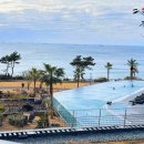 버스정류소_서귀중앙여자중학교 | [공지] 가성비vs가심비 숙소 2탄. 제주 호캉스 끝판왕 파르나스 /중문 상비약 편의점