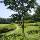 보상&개발 행정사사무소 이미지