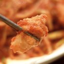 옥이 아구.메기 이미지