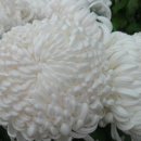 동래원예고등학교 이미지