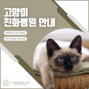 아이편한 동물의료센터 이미지