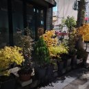 침산새마을금고 앞 이미지