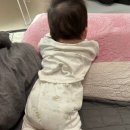 엄마마음소아청소년과의원 | [ 세종 손근형 소아청소년과의원 ] 3개월 아기 두상교정, 첫 번째 여정 🕊️