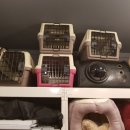 애견용품 할인매장 이미지