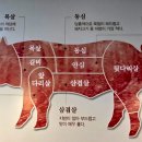 고기생활