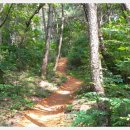 황방산생태야영장 이미지