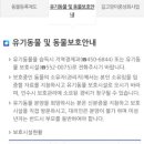 신영재동물병원 네이버블로그