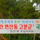 연산동고분군 이미지