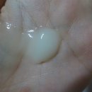 노블덴탈 이미지