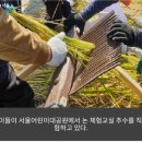 그림책 속 진로탐험 이미지