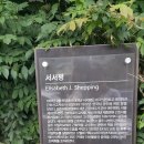 김홍지 이미지