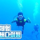 설레는체험세상 이미지