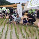 엑스포로 이미지