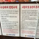 가평펜션남이섬리조트비버네민박집 | 가평여행:) 가평 빠지 펜션 여름엔 물놀이 필수!! 기구 재밌게 태워주는 비버네선착장 수상레저 바베큐...