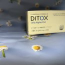 올리스 | 기름진 음식도, 탄수화물도 이젠 안심! 다이톡스 올리스 정으로 칼로리 컷팅과 지방 흡수 억제를 동시에!