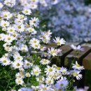 하루의 힐링 이미지