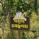 대야팜 이미지