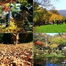 대암축산 이미지