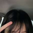 솔향지사