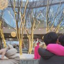 삼미농장 | 시몬스테라스 크리스마스마켓 솔직후기 서울근교 이천 아이와 갈만한곳