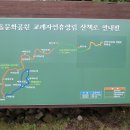 자연그리 이미지