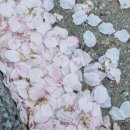 순풍산부인과의원 - 공주시 번영1로 50 | 순풍산부인과의원