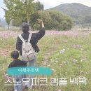 스노우피크 캠플 백팩 여행 가방 추천