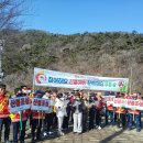 다향울림영농조합법인 | 전라남도보도자료20260305목요일