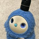 뽀도기 | 후쿠오카여행下-유후인,텐진,야쿠인(20260213-20260216)