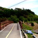 자연설렘 이미지