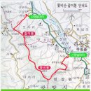 3월 17일(일) 광양 쫓비산산행+매화축제+산동 산수유축제.♡25,000원. 조.중식(찰밥.중:찬 지참)제공.37석 리무진운행 이미지