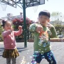 하하호호어린이집 이미지