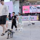 2023 청도 펫티켓 문화콘서트 헤럴드경제