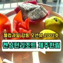 공간풍경 -2002 | ✅켄싱턴리조트 제주한림 가족여행 로얄스위트 오션뷰 2002호‼️